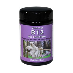 Robert Franz Vitamin B12 Pastillen Robert Franz Vitamin B12 Pastillen