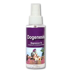 Robert Franz Magnesium Öl Spray Robert Franz Magnesium Öl Spray